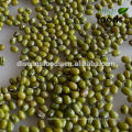 China Bulk Fresh Green Mung Bean For Sale